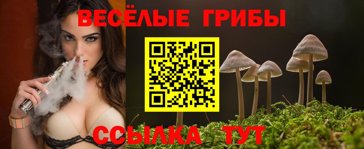 Елец  Псилоцибиновые грибы Magic Shrooms  Вход с VPN  Галлюциногенные грибы GOLDEN TEACHER 